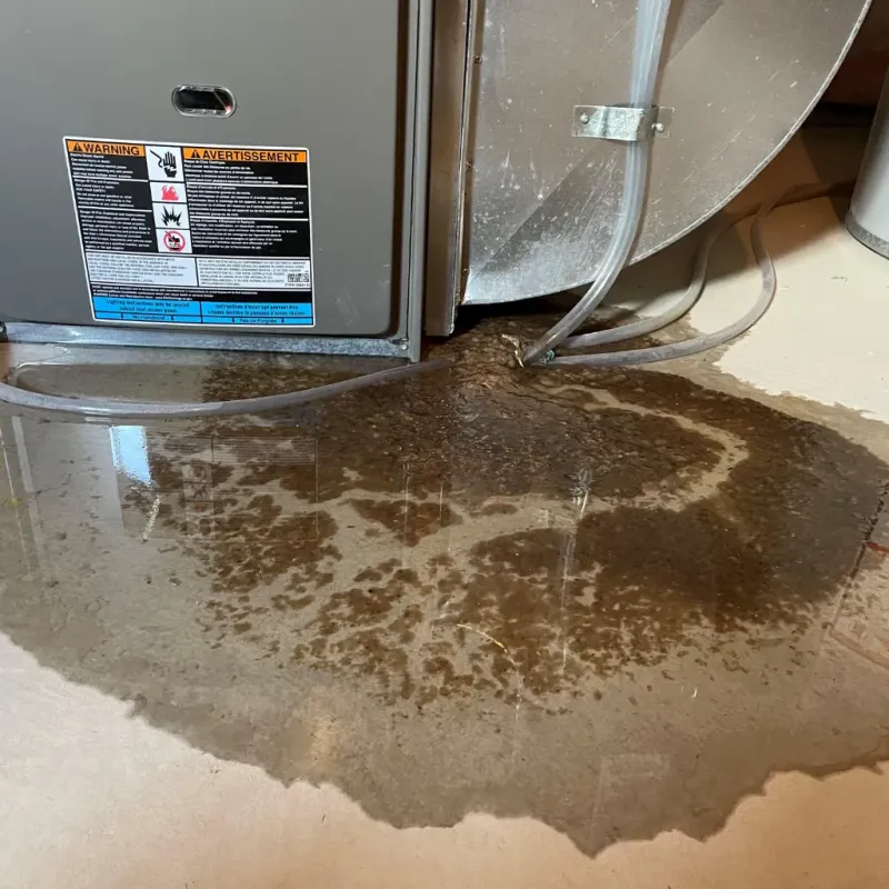 Appliance Leak Cleanup in Elkader, IA